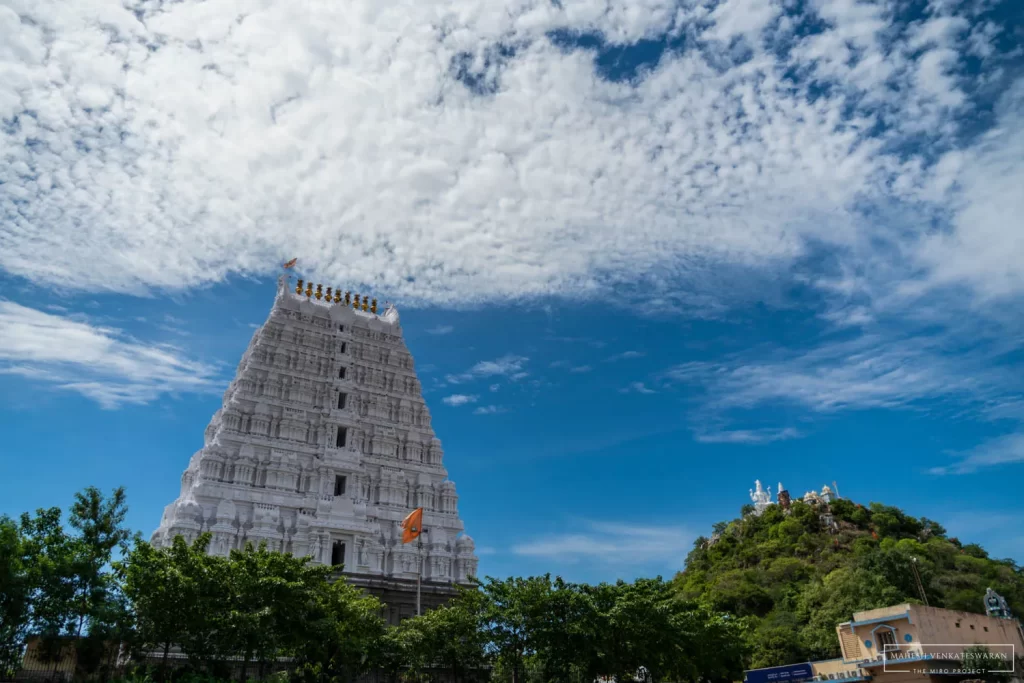 Templerun 002 - Srikalahasthi Temple