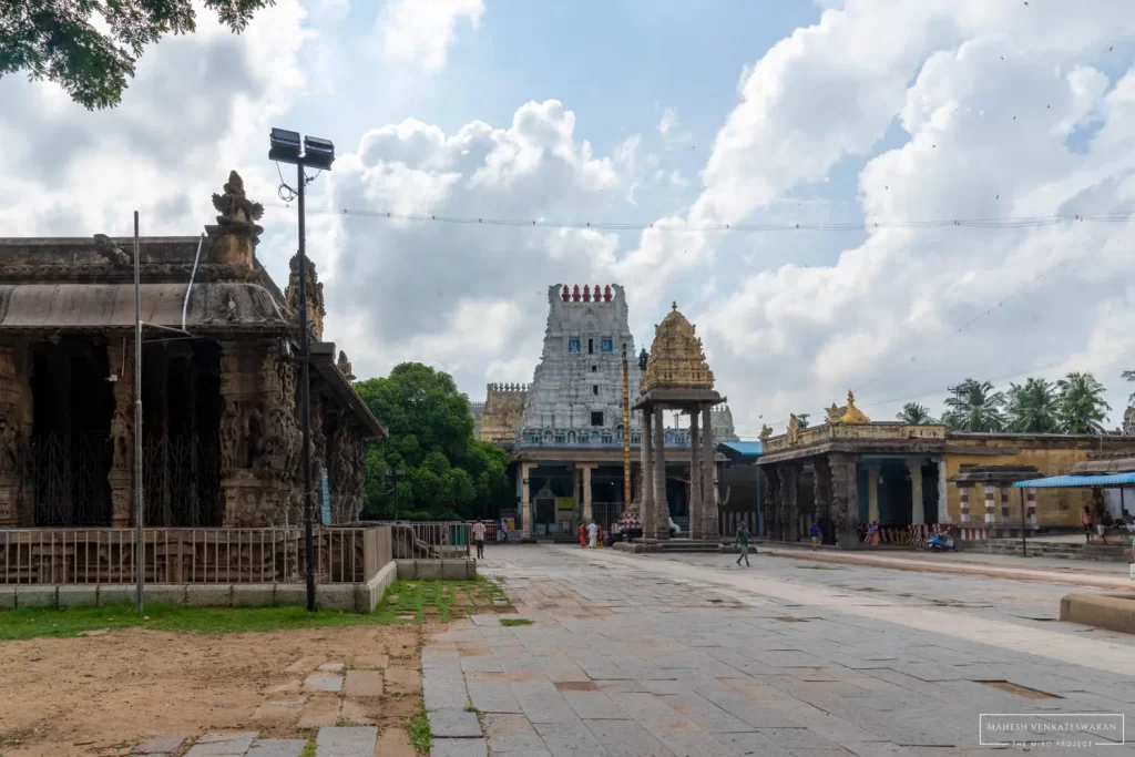 Templerun - 003 Varadharaja Perumal - Kanchipuram-10