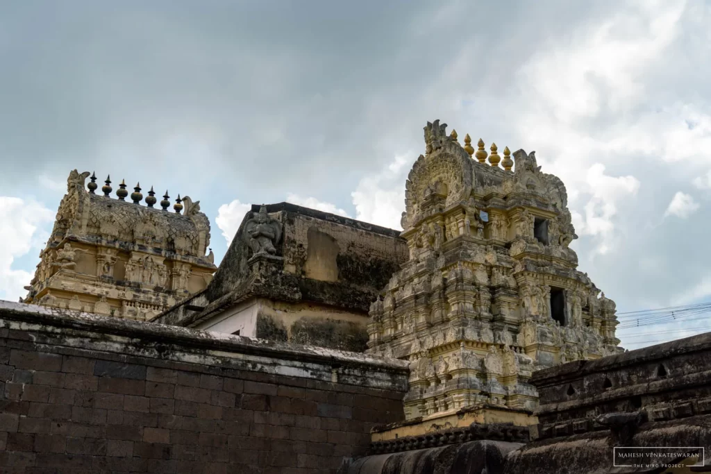 Templerun - 003 Varadharaja Perumal - Kanchipuram-11