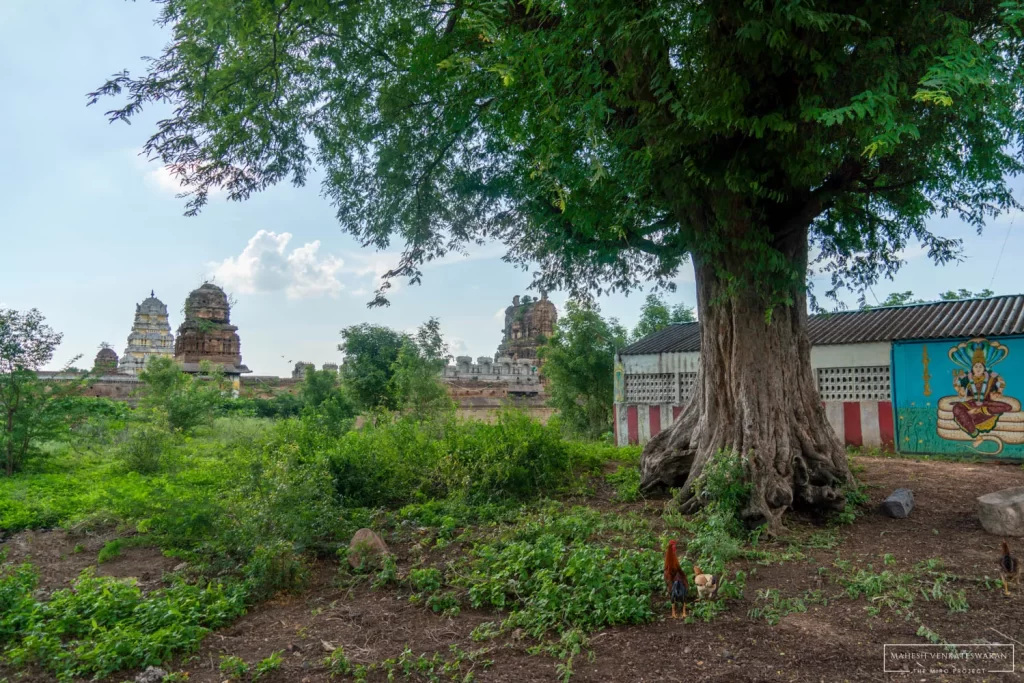 Sanjeevarayar Hanuman temple