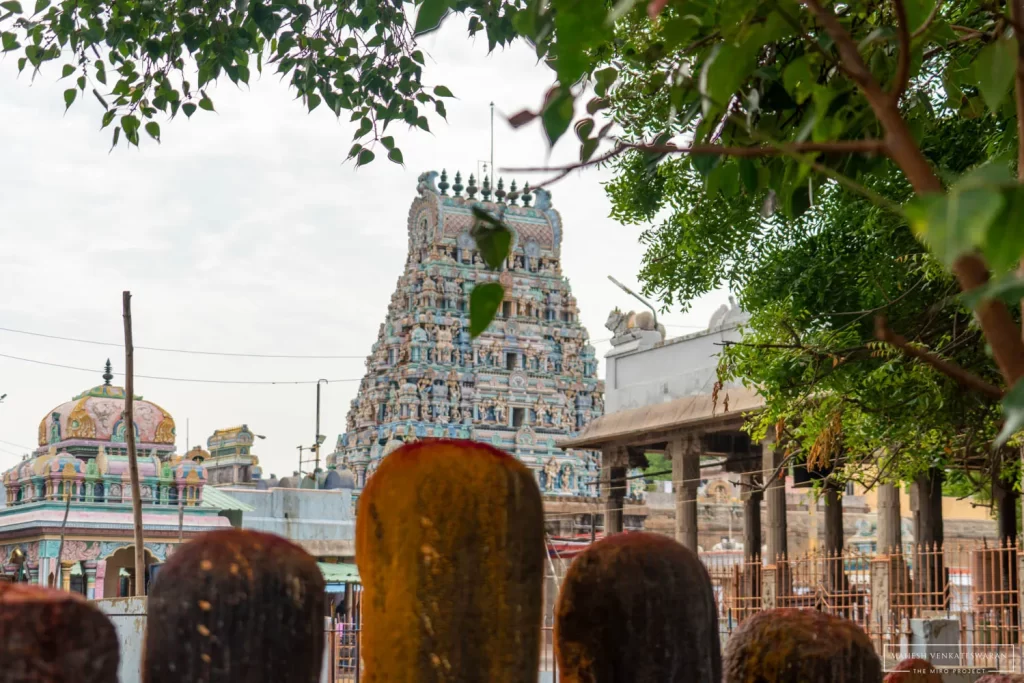 Thiruvottiyur Vadivudaiamman Temple
