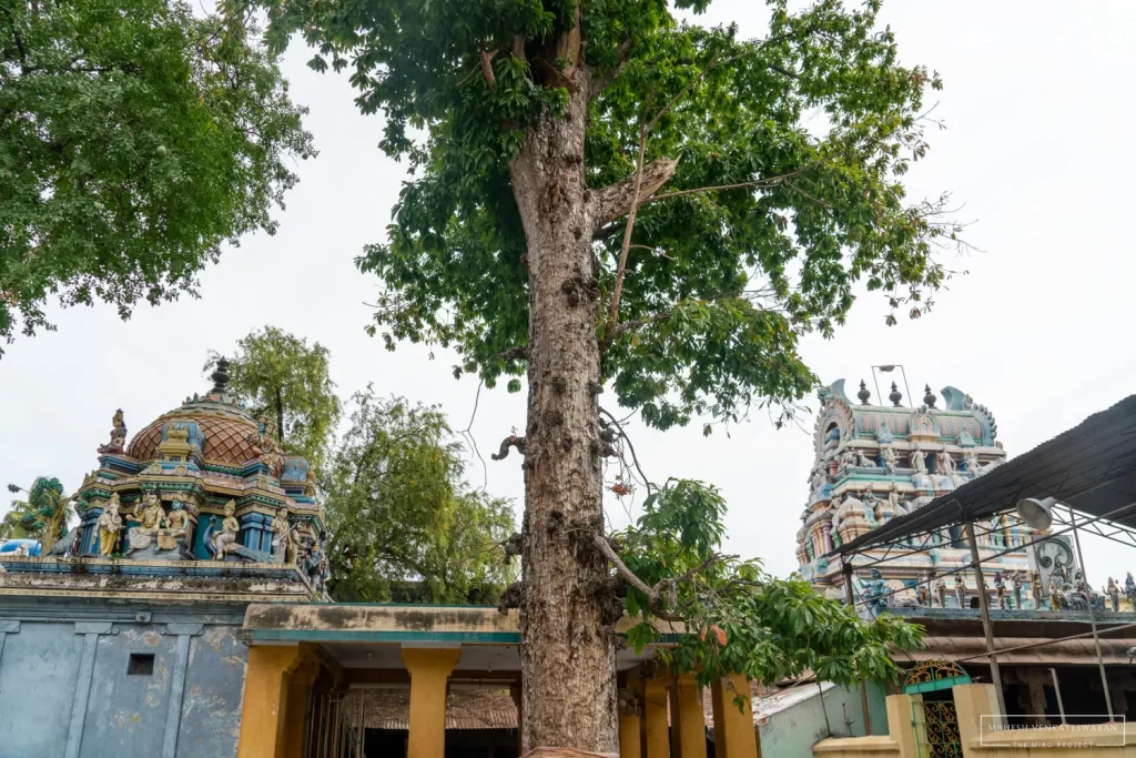 Thiruvalam Vilwanatheswarar Temple