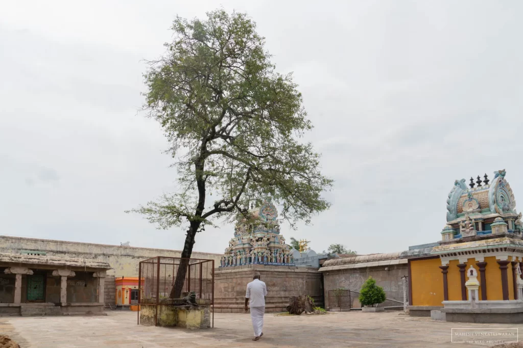 Thiruvalam Vilwanatheswarar Temple