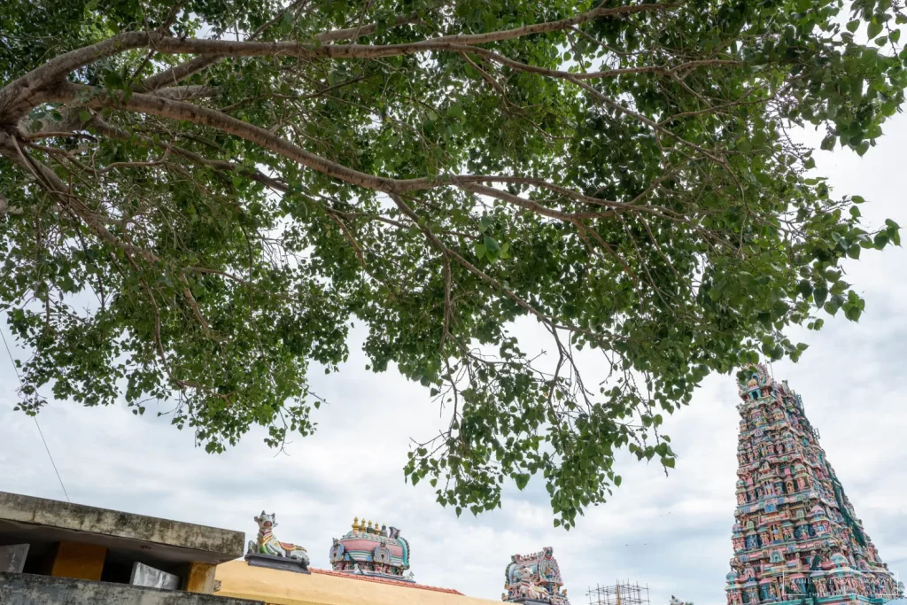 Thirumullaivoyal -Maasilamaneeswar Temple