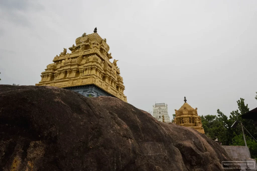 Sri Pataladhri Narasimhar Singaperumal Temple