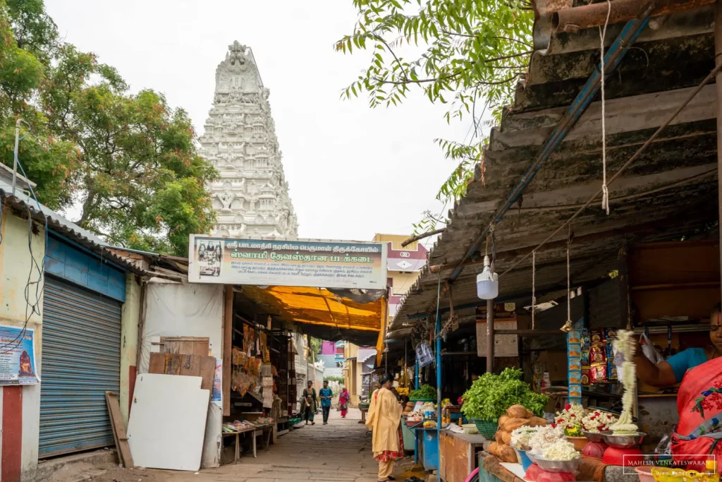 Sri Pataladhri Narasimhar Singaperumal Temple