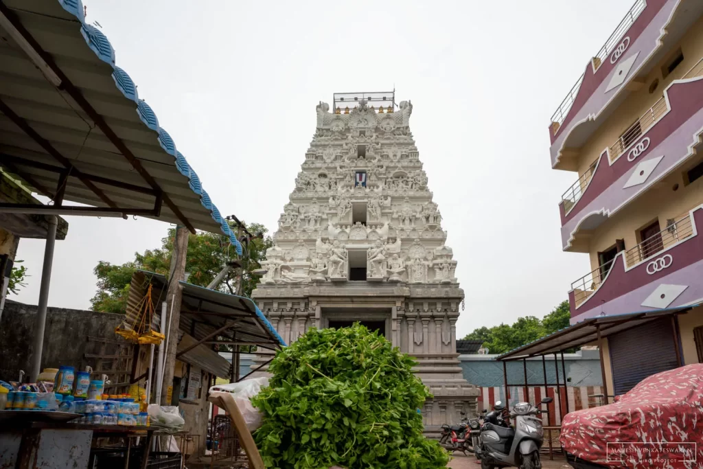 Sri Pataladhri Narasimhar Singaperumal Temple
