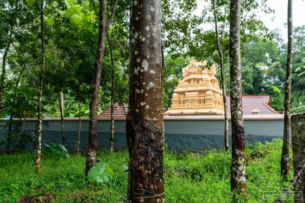 Sree Adi Kesava Perumal Thiruvattaru Temple
