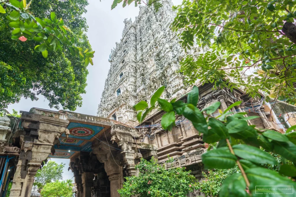 Suchindram Shree Thanumalayan Swamy Temple