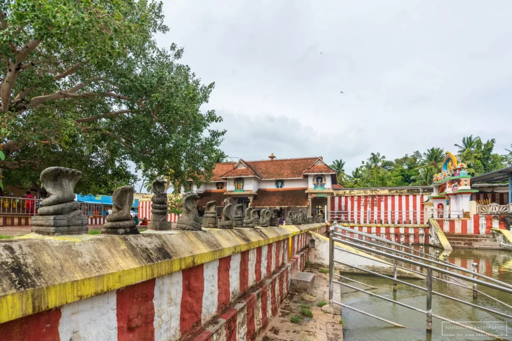 Nagaraja Temple