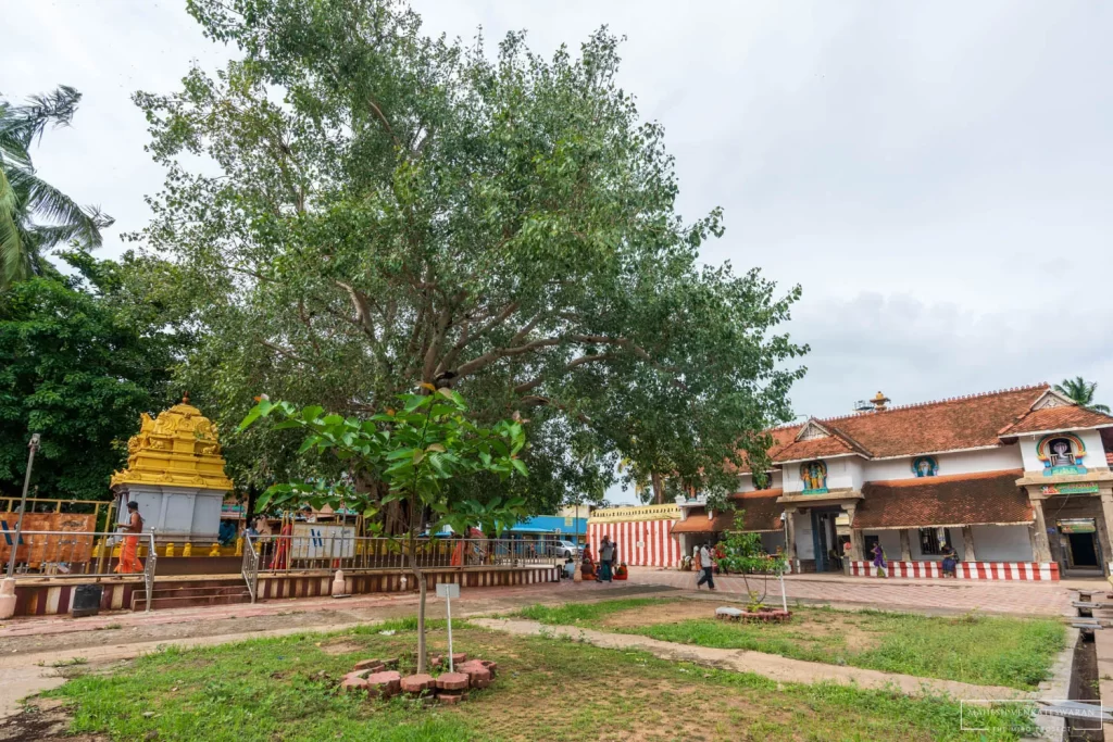Nagaraja Temple