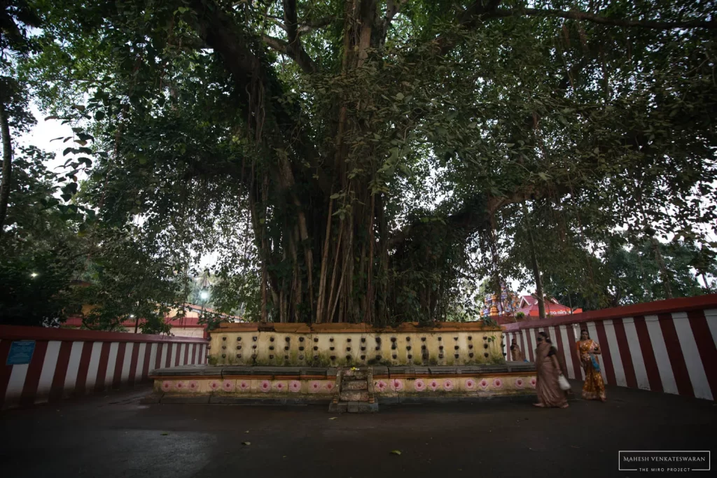 Varkala Janardhanaswamy Temple