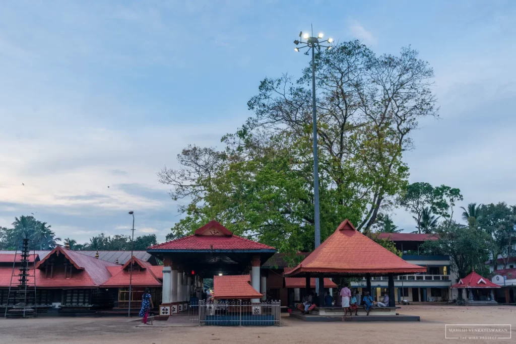 Chettikulangara Bhagavathy Temple